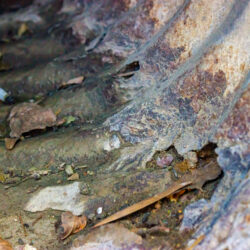 How to Perform Trenchless Repair of an 18-Inch Storm Drain