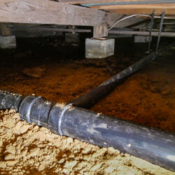 Installation of the New System