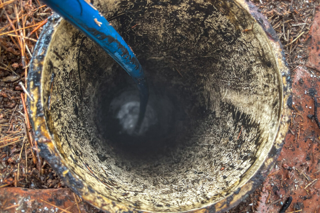 Roots in the Storm Drainage System