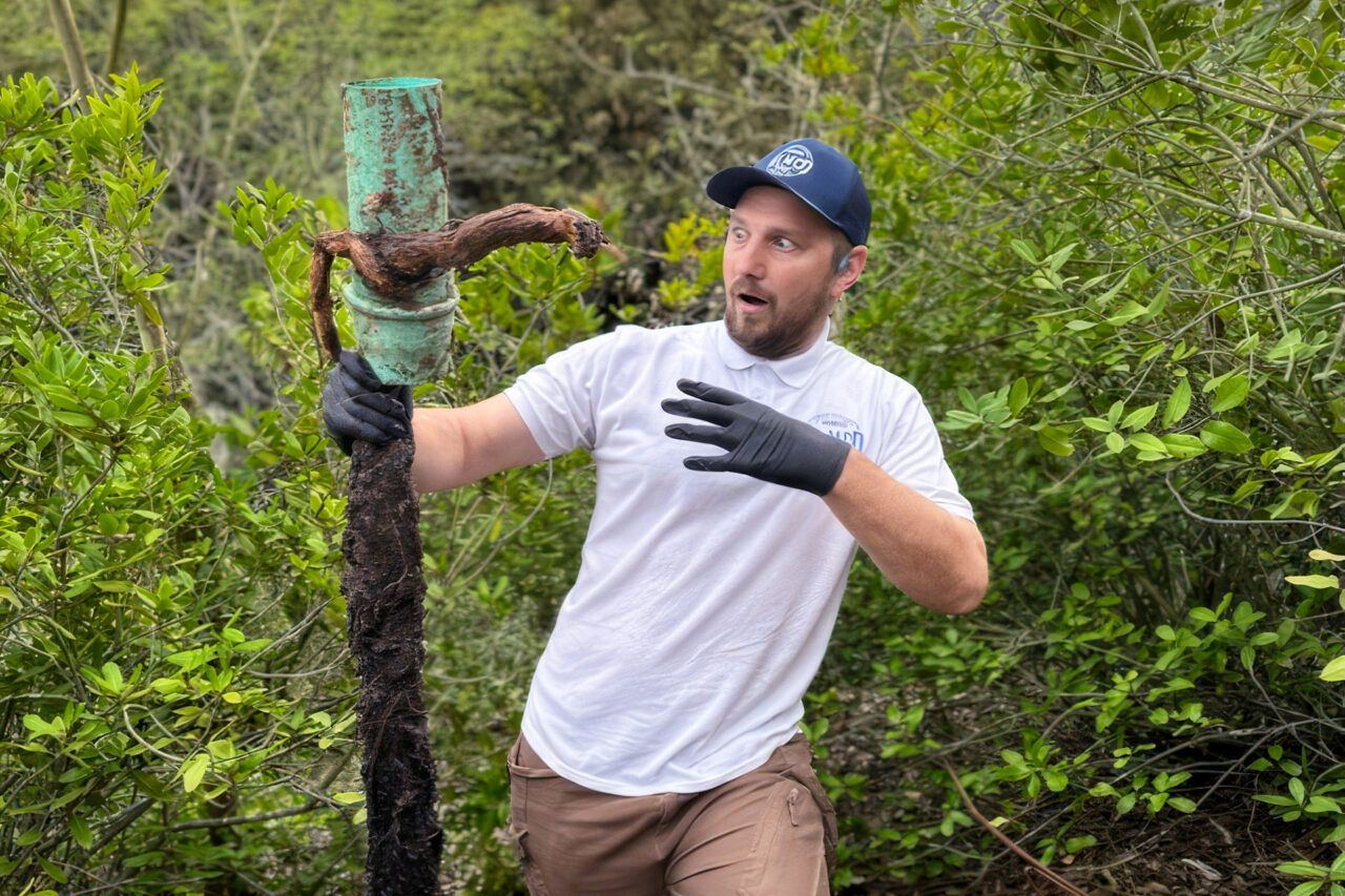 Root Intrusion Removal