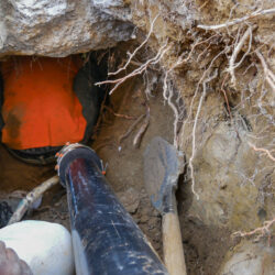 Additional Work Performed Within the Project